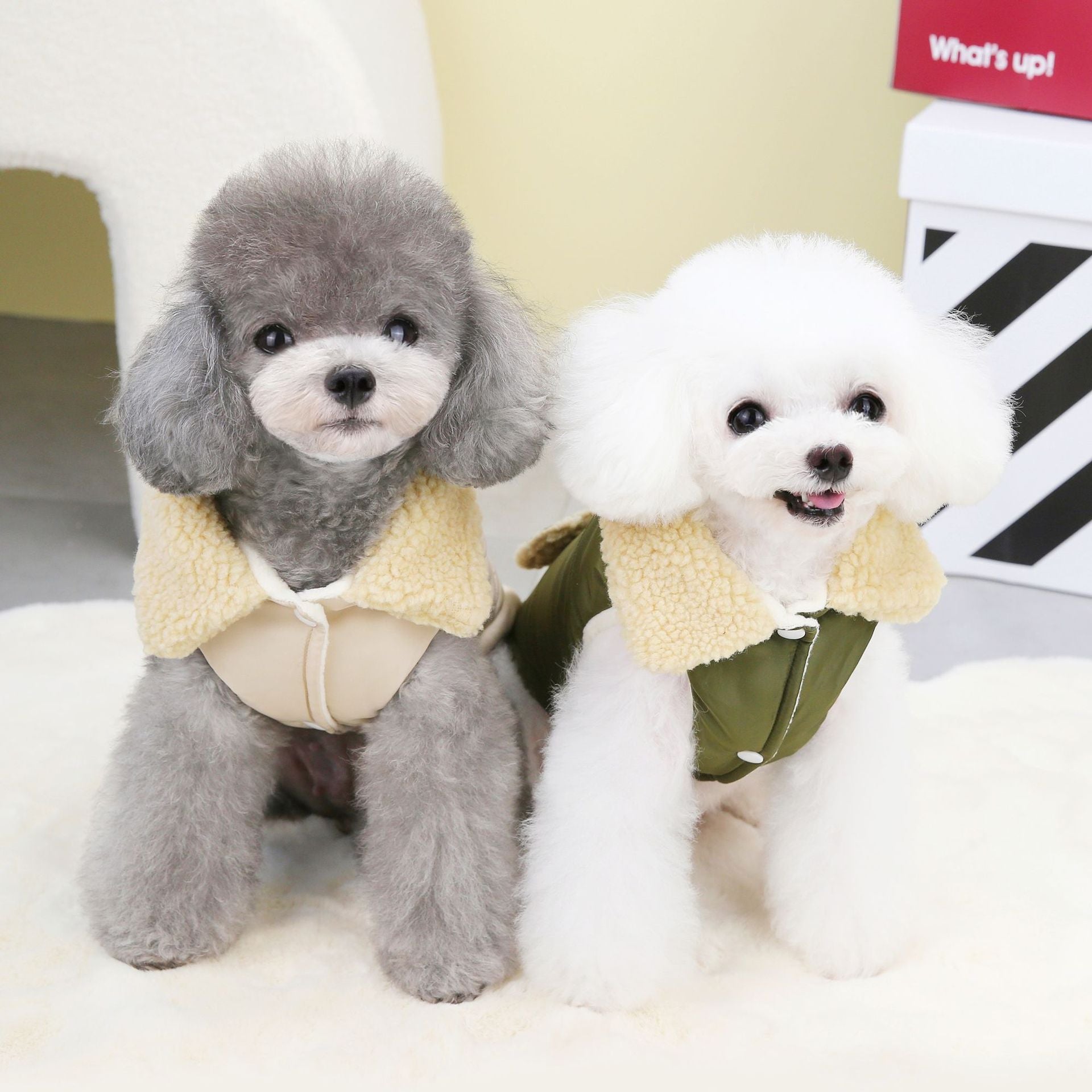 Cappottino Chill per Cani - Colletto Ecopelle, Stile Nordic
