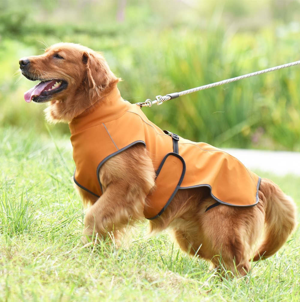 "Nexus" technical fabric banded dog raincoat
