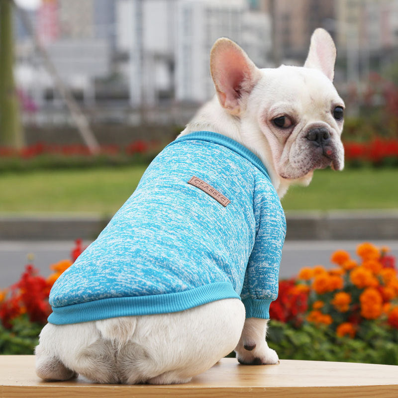 Maglioncino per Cani in Tinta Unita – Modello "Classic" - Dog Moda