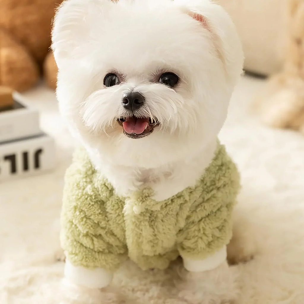 FROG trui voor honden - 3D groene kikker met knopen