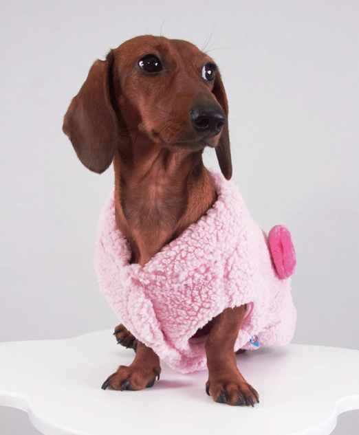 Dachshund Fleece Pillow Coat - Pig or Bear
