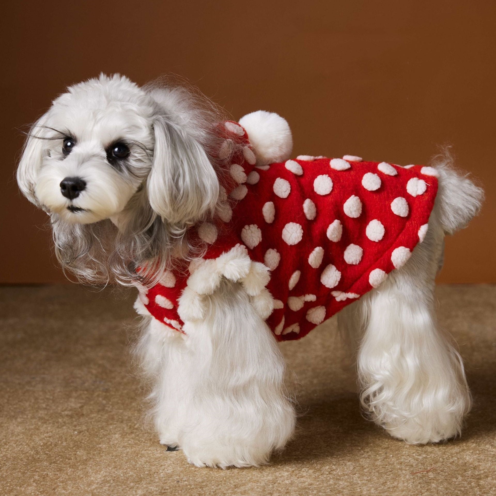 Cappottino rosso per cani "Towney Bear" con pois bianchi, cappuccio e chiusura a bottoni sul dorso, senza maniche, caldo e comodo.