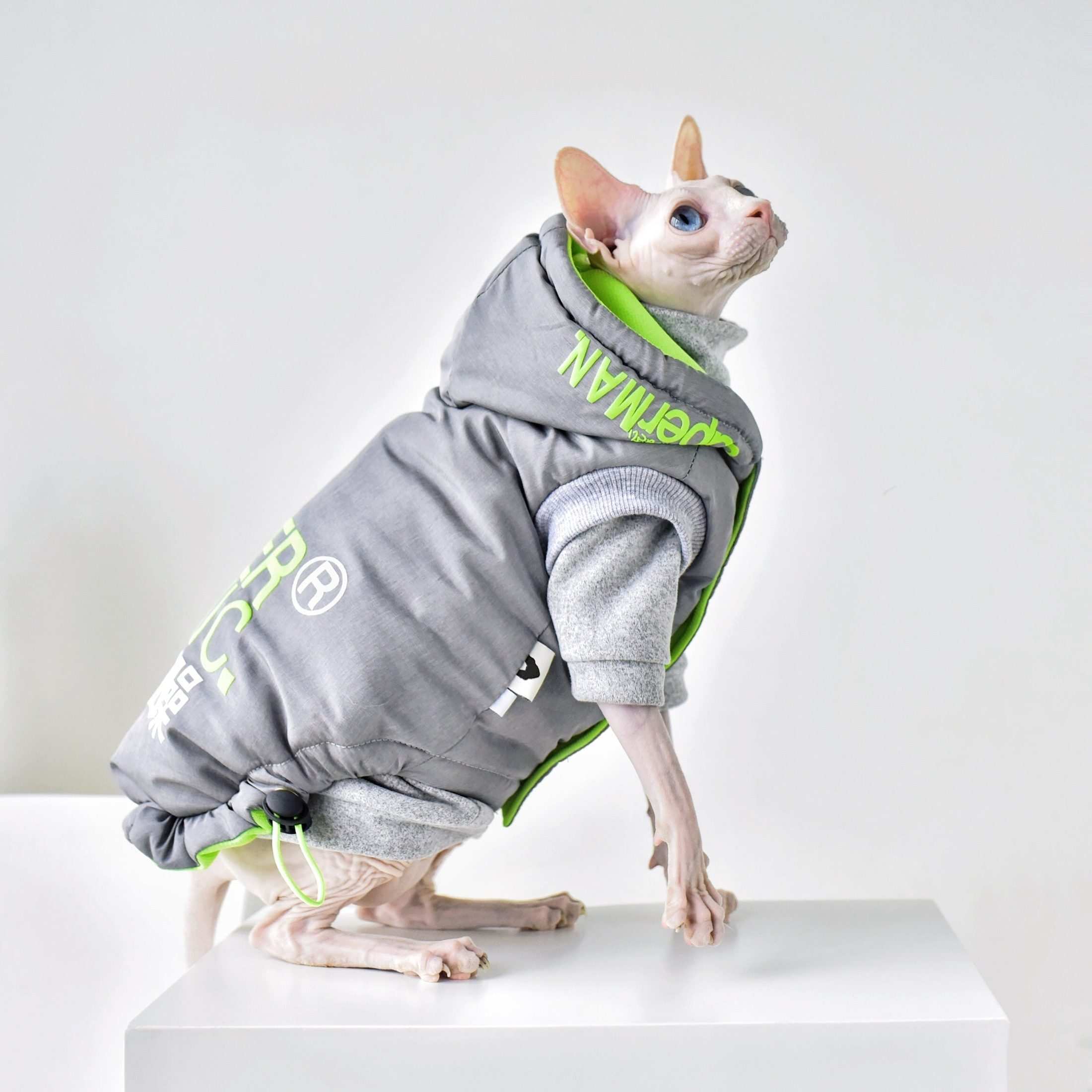 Cappotto per gatti Sphynx "Super Maniac" in colore Space Grey e Meteorite Black, con cappuccio impermeabile e scritta sul dorso.