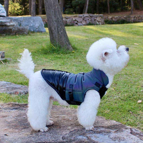 Cappotto impermeabile per cani "Joy", riflettente, con anello per guinzaglio e chiusura a bottoni, perfetto per pioggia e passeggiate sicure di notte.