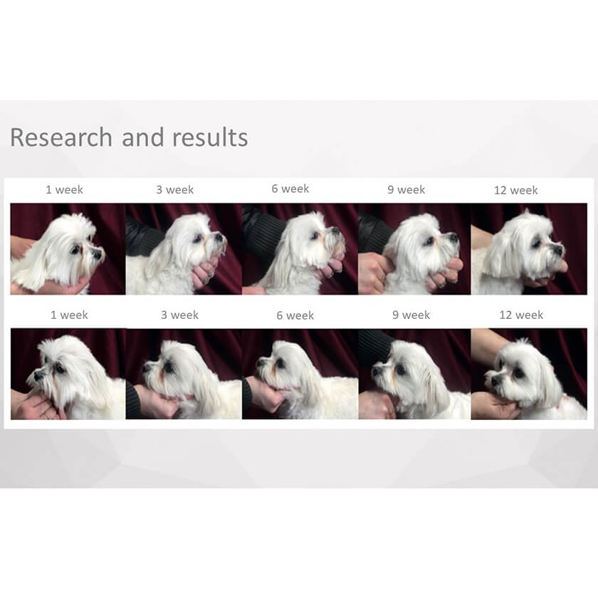 NPSC® WHITE DOG GF WHITE FISH ADULT SMALL BREED 1.5 KG