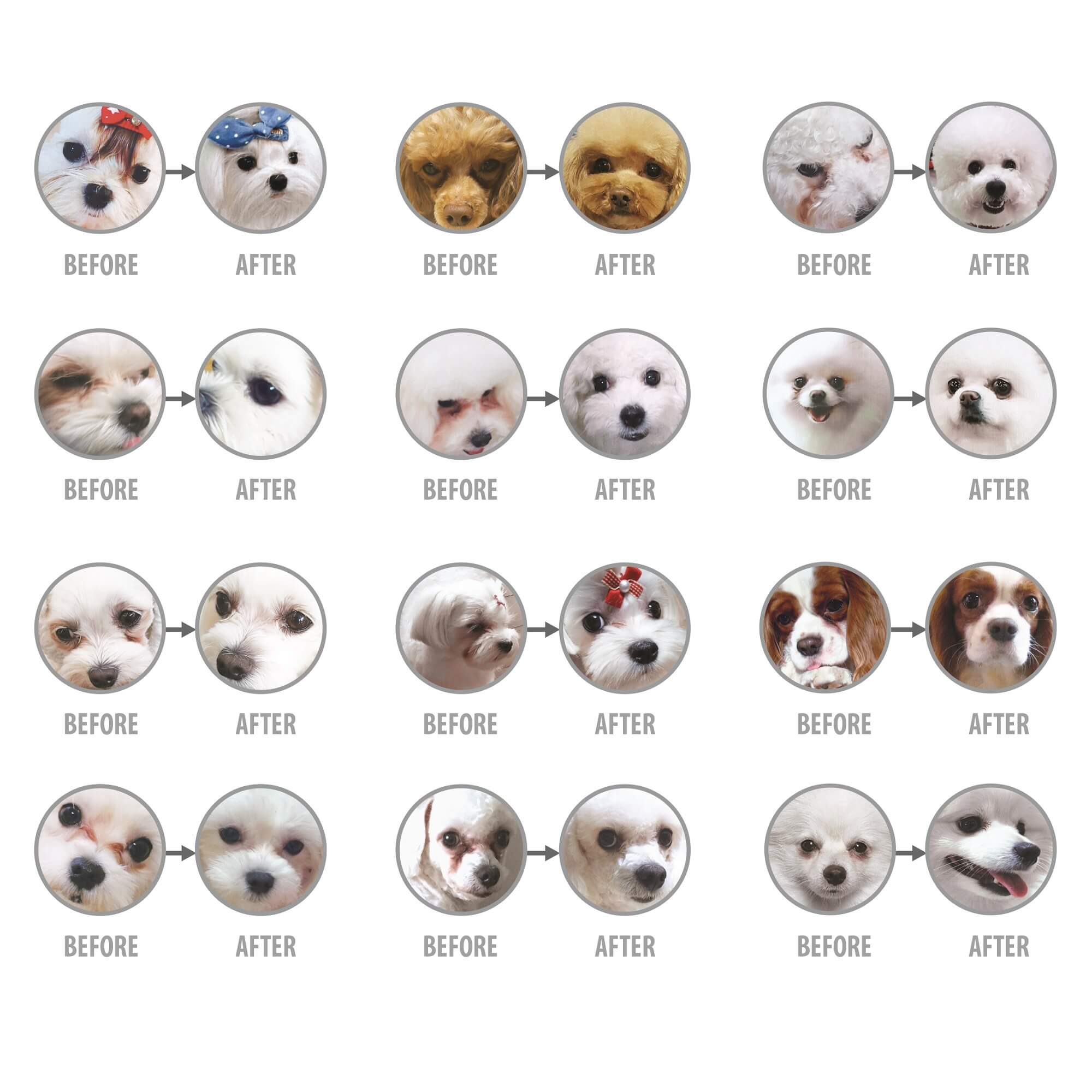 NPSC® WHITE DOG GF WHITE FISH ADULT SMALL BREED 1.5 KG