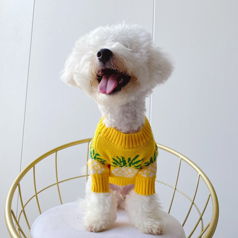 Maglione per Cani a Fantasia Ananas - Morbido e Caldo | DogModa