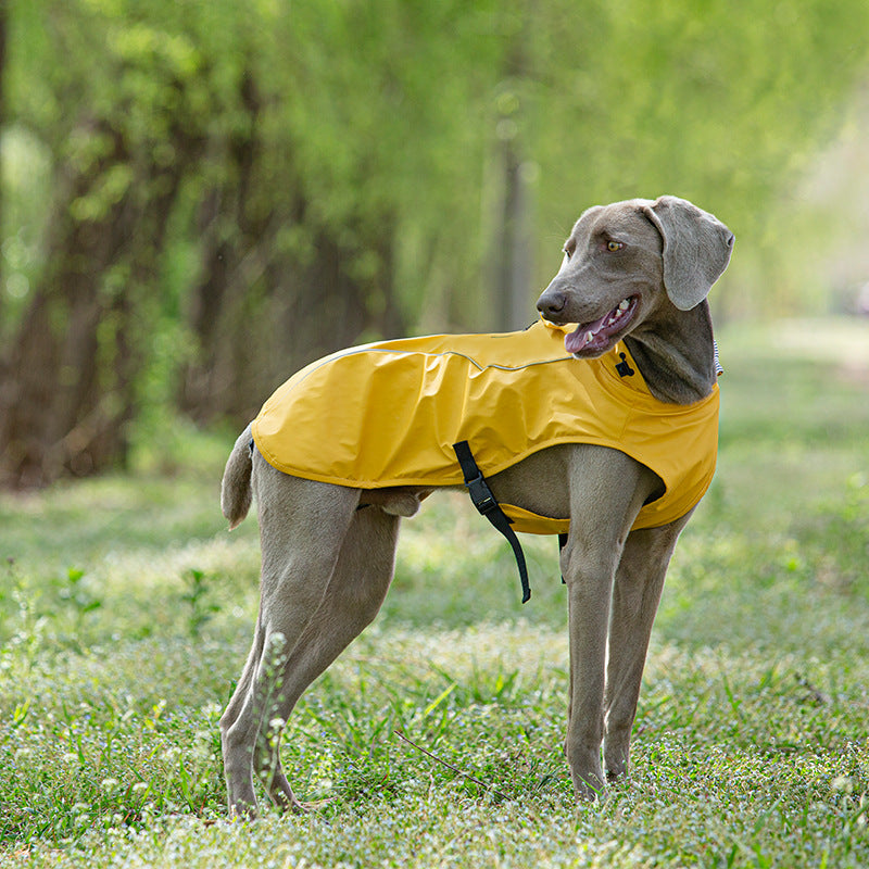 Impermeabile "Portland" per Weimaraner: comfort e protezione per le giornate piovose