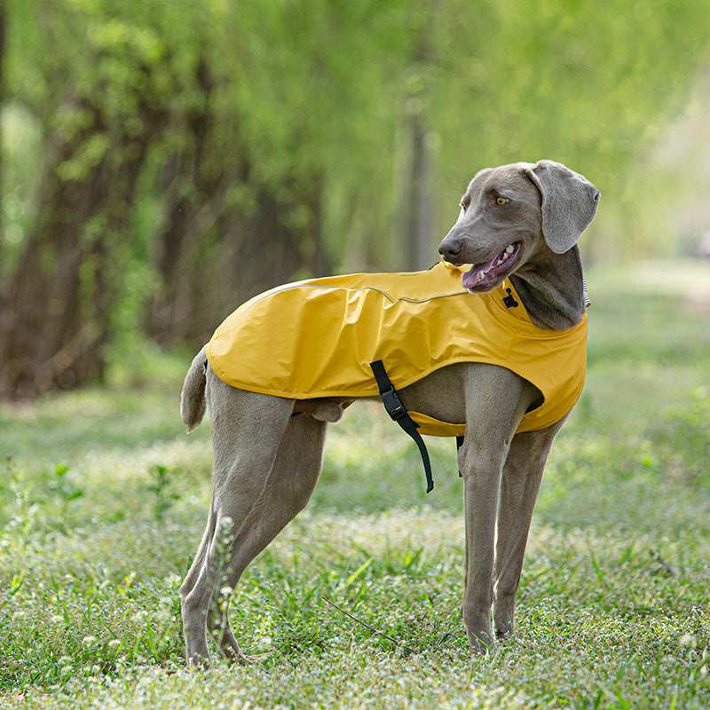 Raincoat "Portland" for Weimaraner: comfort and protection for rainy days