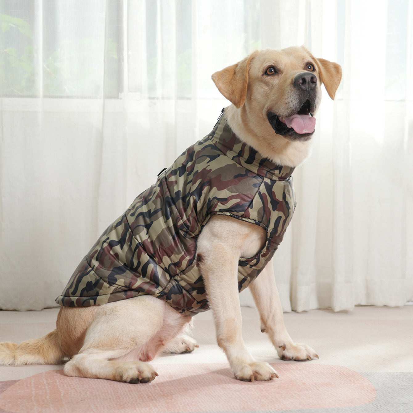 "Survival" Large Dog Coat - Vest with Harness Ring