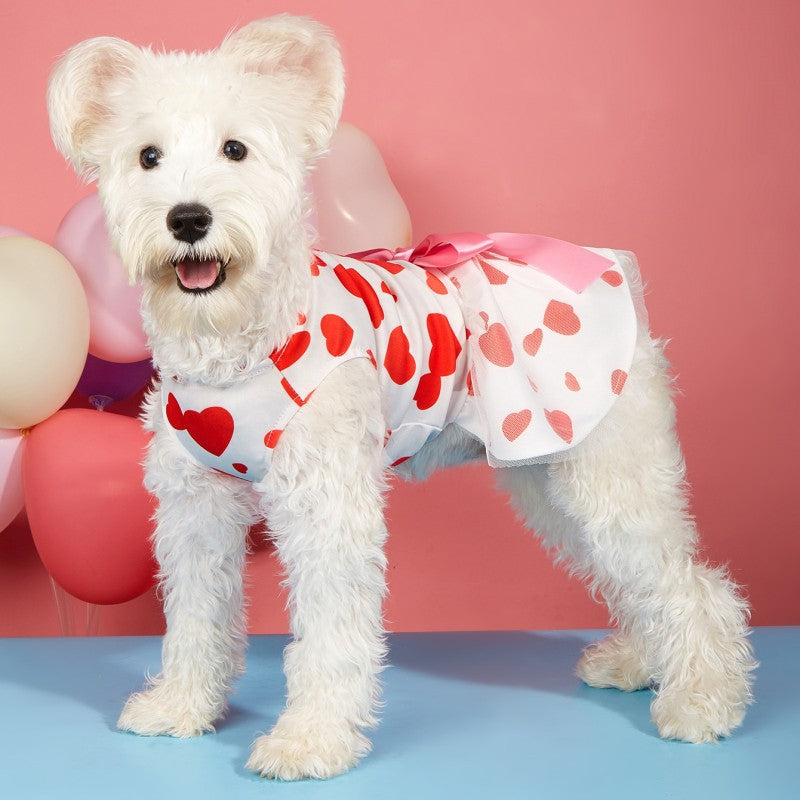 Vestito per cani "San Valentino" con cuori e gonnellina | DogModa