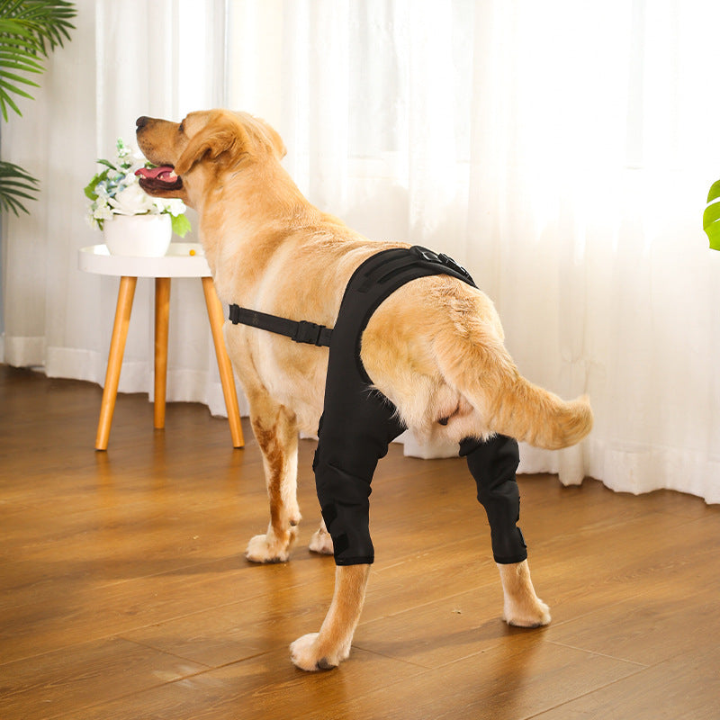 Dog Hind Leg Brace | Post-op Recovery | DogModa