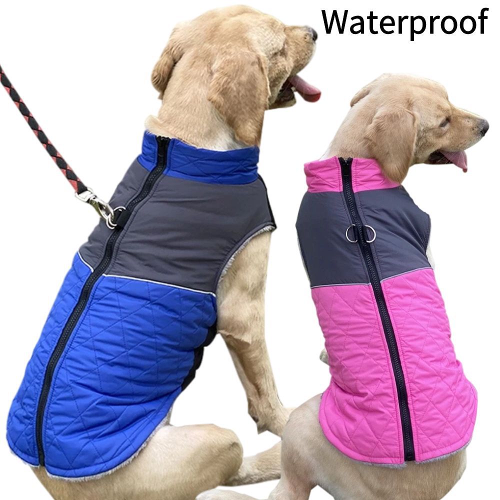 Cappotto per Cani "Alvin" – Caldo, Elasticizzato e con Anello per Guinzaglio ❄️