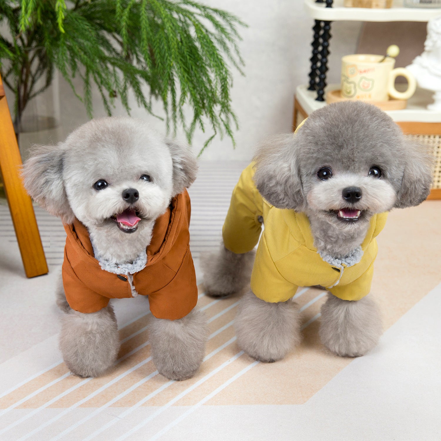 "Bera" Fleece Dog Coat with Hood and Harness