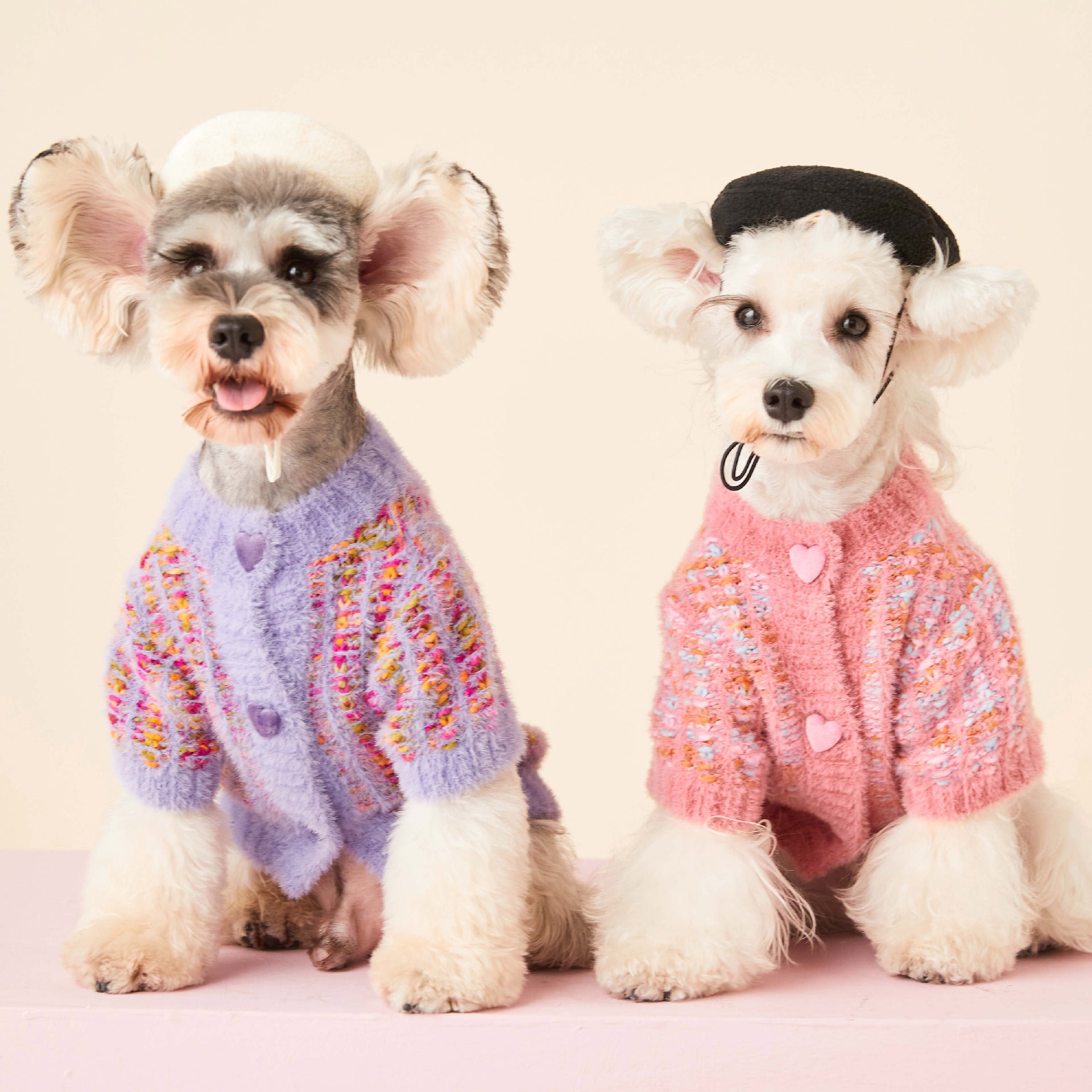 Wool Dog Sweater "Cardigan" with Heart Buttons | DogModa