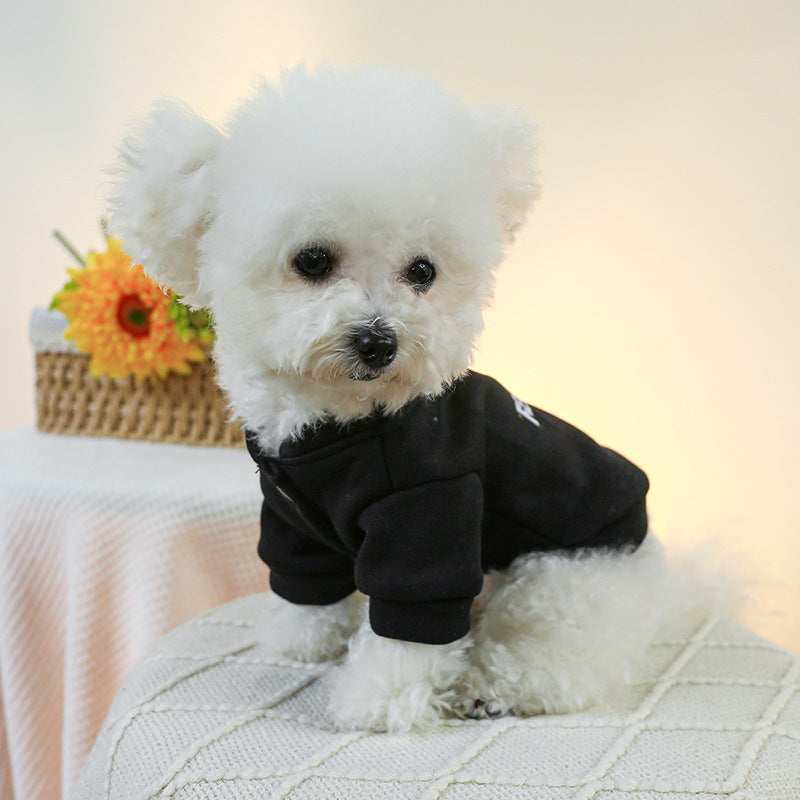 Maglione Invernale per Cani "Fearless" con Anello Guinzaglio