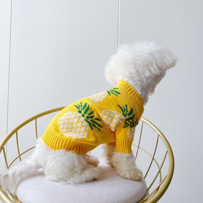 Maglione per Cani a Fantasia Ananas - Morbido e Caldo | DogModa