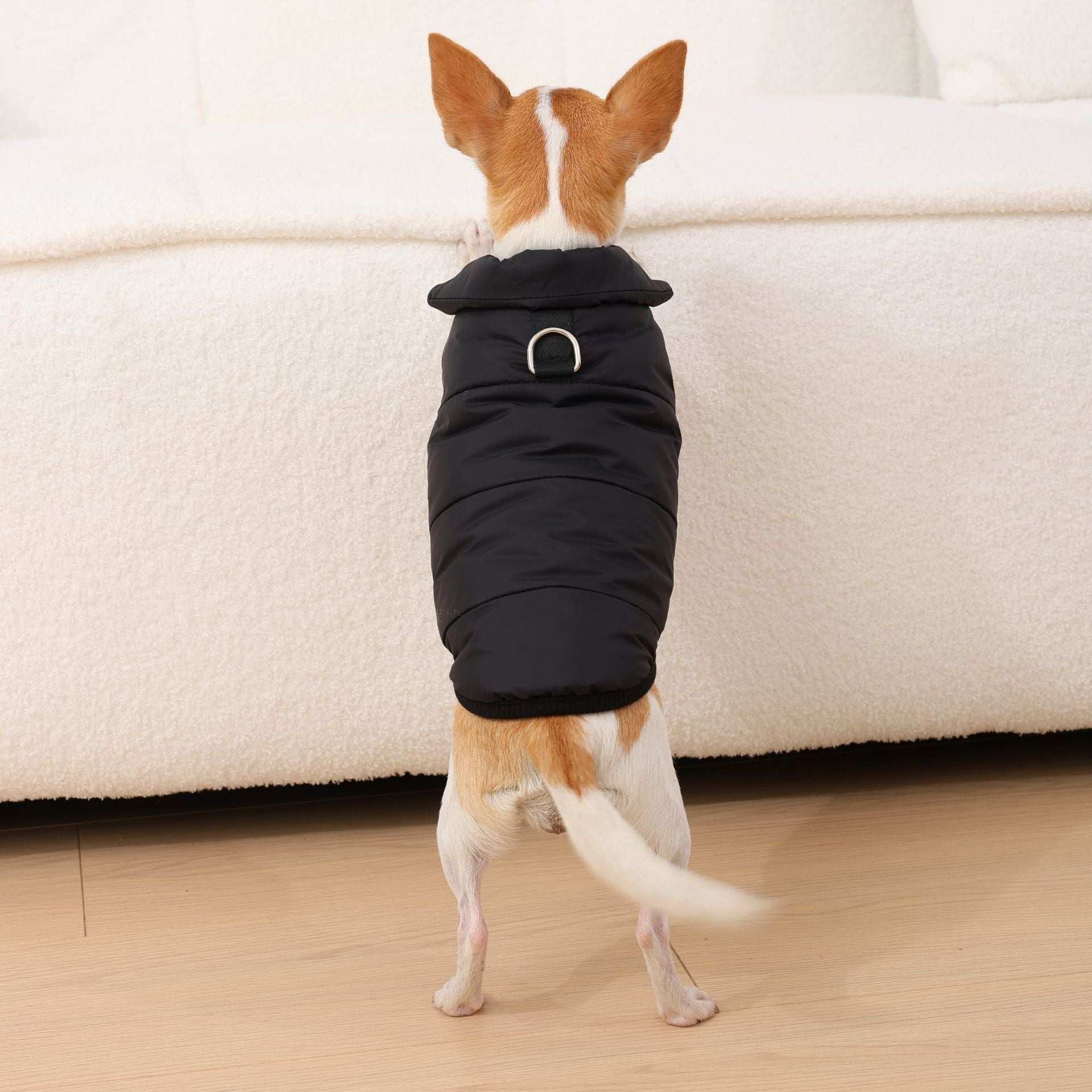 "Orlando" Dog Coat with Integrated Harness - Perfect for Chihuahua and Small Breeds ❄️