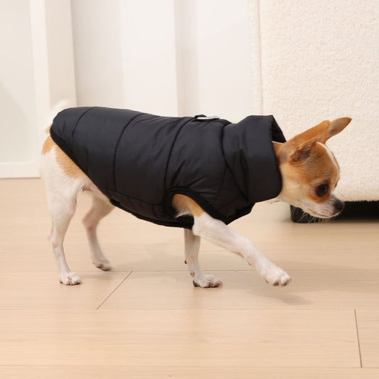 Cappotto per Cani "Orlando" con Pettorina Integrata – Perfetto per Chihuahua e Taglia Piccola ❄️