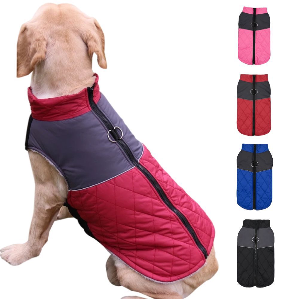 Cappotto per Cani "Alvin" – Caldo, Elasticizzato e con Anello per Guinzaglio ❄️