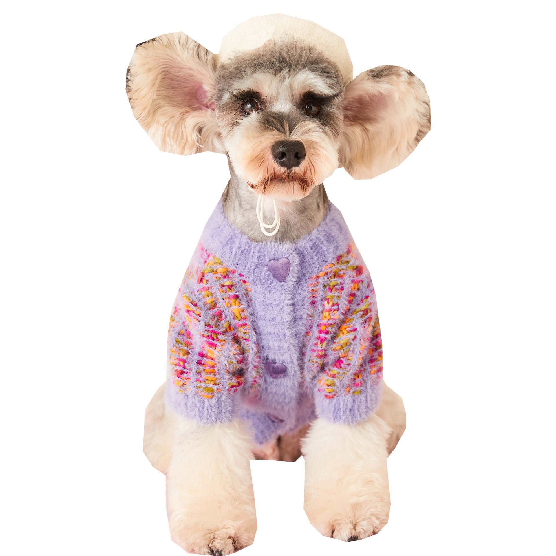 Wool Dog Sweater "Cardigan" with Heart Buttons | DogModa