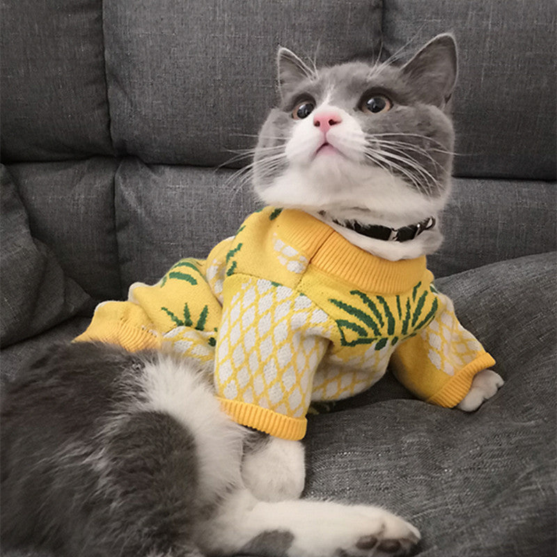 Maglione per Cani a Fantasia Ananas - Morbido e Caldo | DogModa
