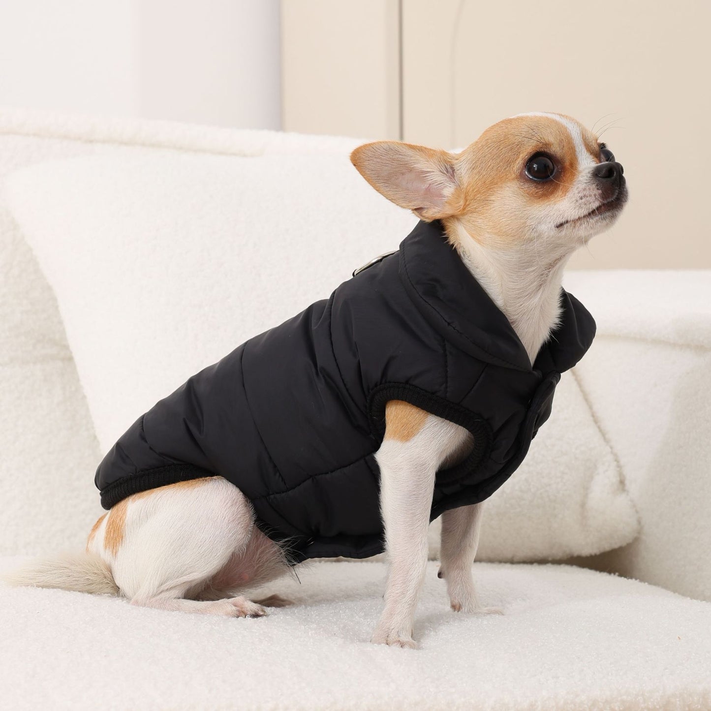 Cappotto per Cani "Orlando" con Pettorina Integrata – Perfetto per Chihuahua e Taglia Piccola ❄️