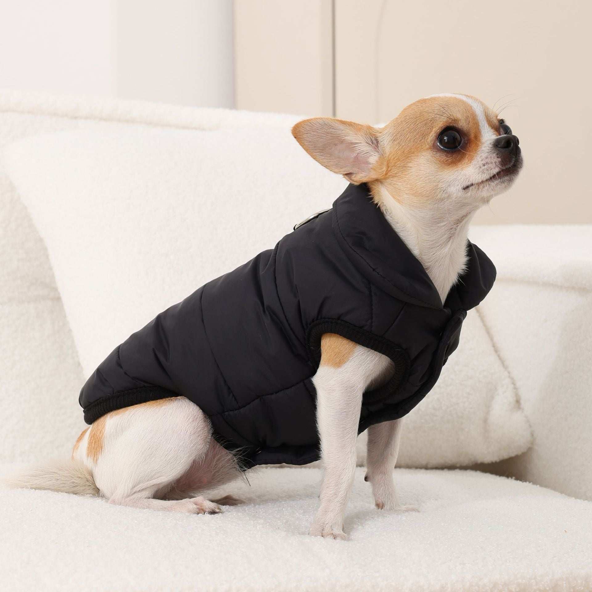 "Orlando" Dog Coat with Integrated Harness - Perfect for Chihuahua and Small Breeds ❄️