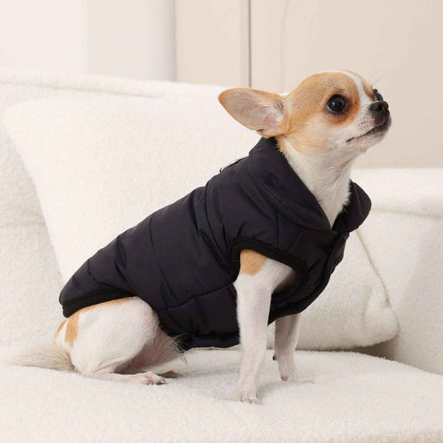 Cappotto per Cani "Orlando" con Pettorina Integrata – Perfetto per Chihuahua e Taglia Piccola ❄️ by Dog Moda