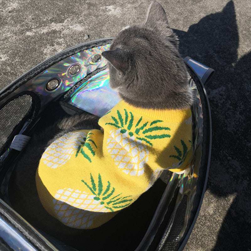 Maglione per Cani a Fantasia Ananas - Morbido e Caldo | DogModa