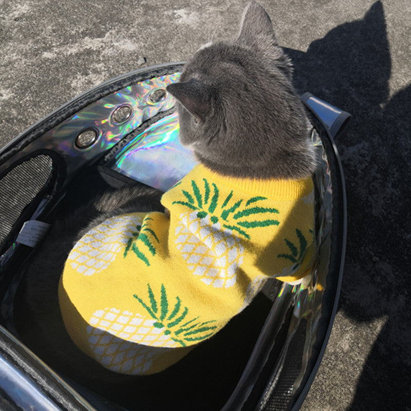 Maglione per Cani a Fantasia Ananas - Morbido e Caldo | DogModa