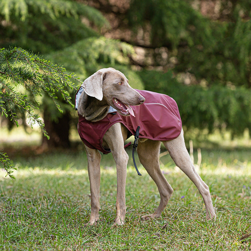 Impermeabile "Portland" per Weimaraner: comfort e protezione per le giornate piovose