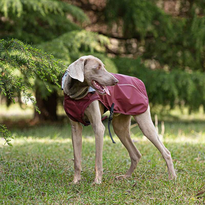 Impermeabile "Portland" per Weimaraner: comfort e protezione per le giornate piovose