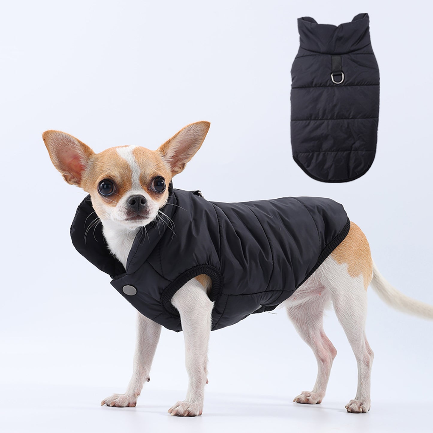 Cappotto per Cani "Orlando" con Pettorina Integrata – Perfetto per Chihuahua e Taglia Piccola ❄️