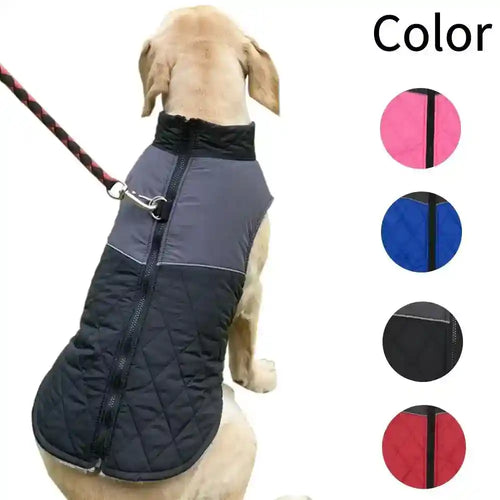 Cappotto per Cani "Alvin" – Caldo, Elasticizzato e con Anello per Guinzaglio ❄️ by Dog Moda