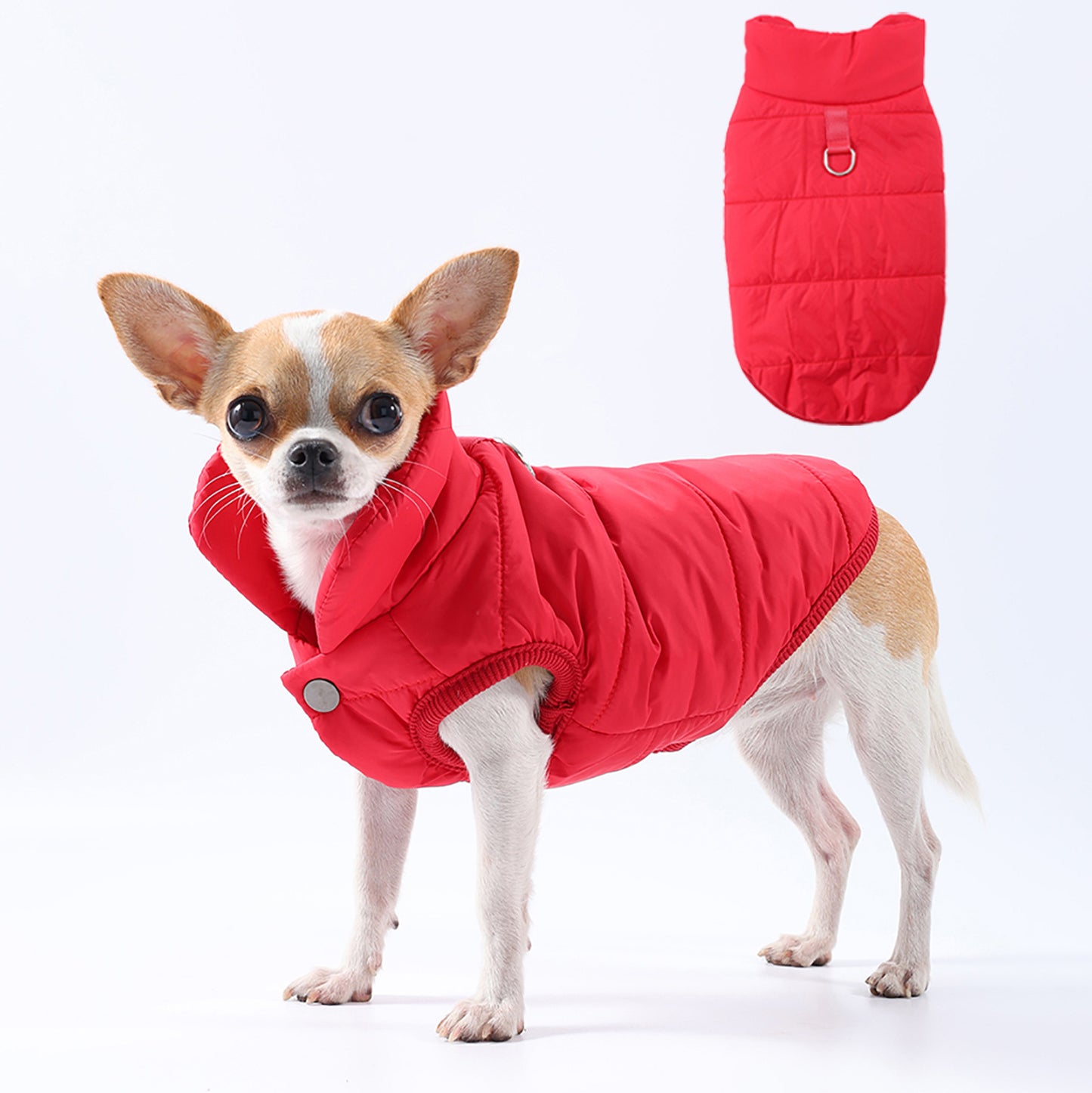 Cappotto per Cani "Orlando" con Pettorina Integrata – Perfetto per Chihuahua e Taglia Piccola ❄️