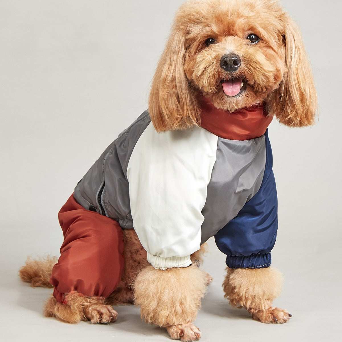 Cappotto Impermeabile per Cani "Glam" con Copertura Completa