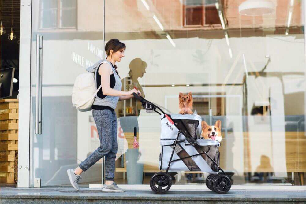 Ibiyaya Double Decker Dog and Cat Stroller