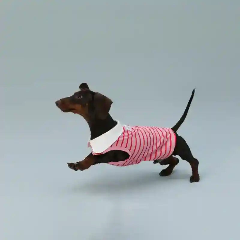 Maglia Polo per Cani Rosa - Colletto Bianco | Dogmoda by Dog Moda