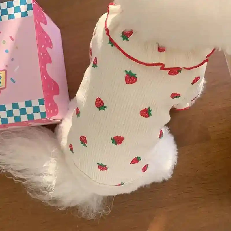 Maglia per Cani Gelato Fantasia Fragoline | Dogmoda by Dog Moda