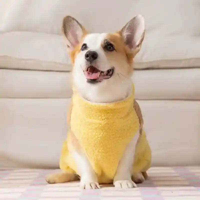 Cappotto Trapuntato Pile Cani con Orsetto Ricamato 3D by Dog Moda