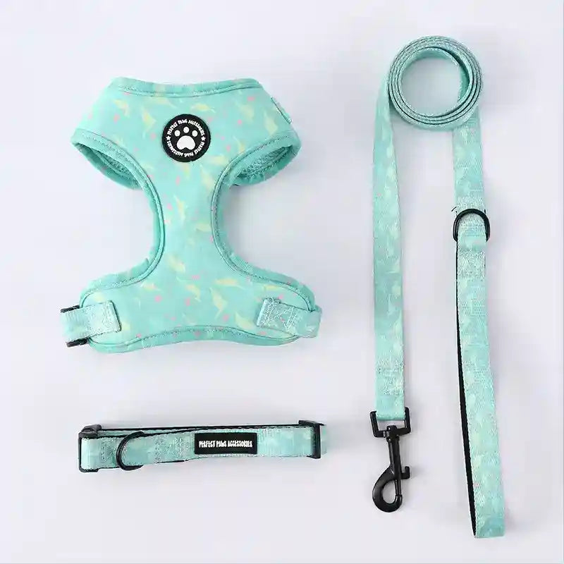 Set Pettorina Collare Guinzaglio Cani Perfect Paw by Dog Moda