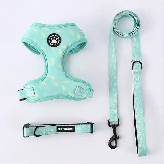 Set Pettorina Collare Guinzaglio Cani Perfect Paw by Dog Moda