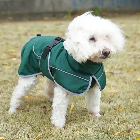 Cappotto per Cani Shell Antivento e Riflettente - Dogmoda by null