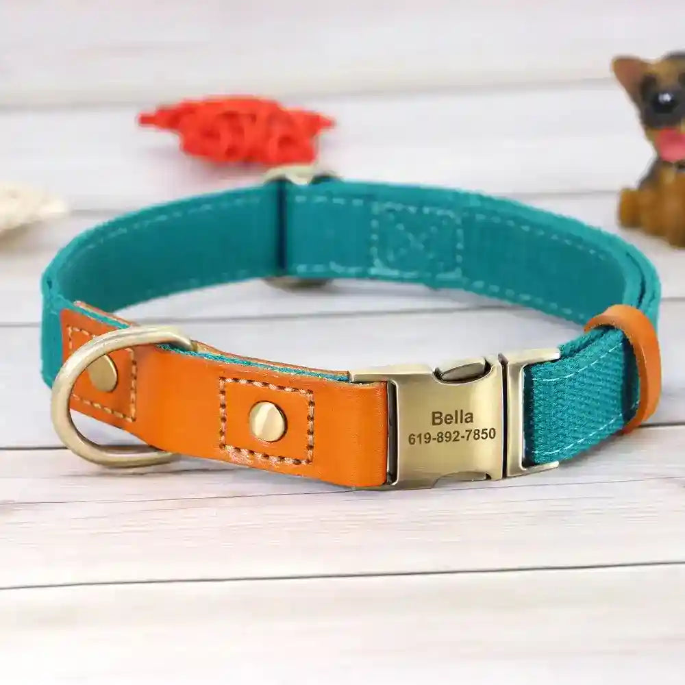 Collare Yatch per Cani in Pelle - Regolabile e Resistente by Dog Moda