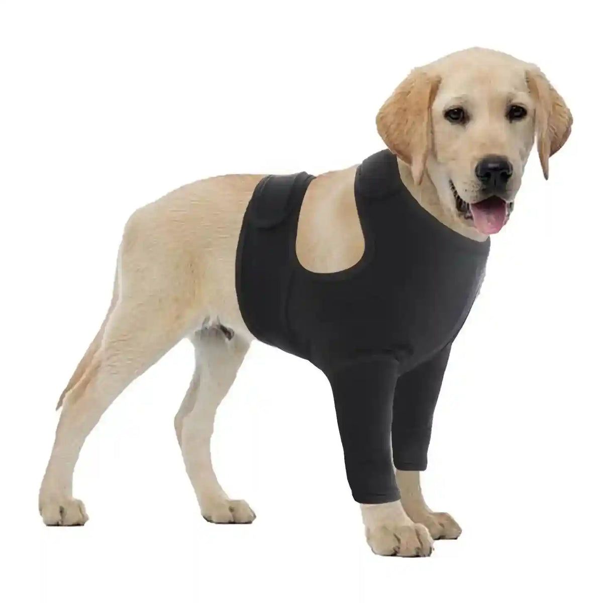 Tutore Zampe Anteriori Cani - Supporto Post Trauma e Prevenzione by Dog Moda