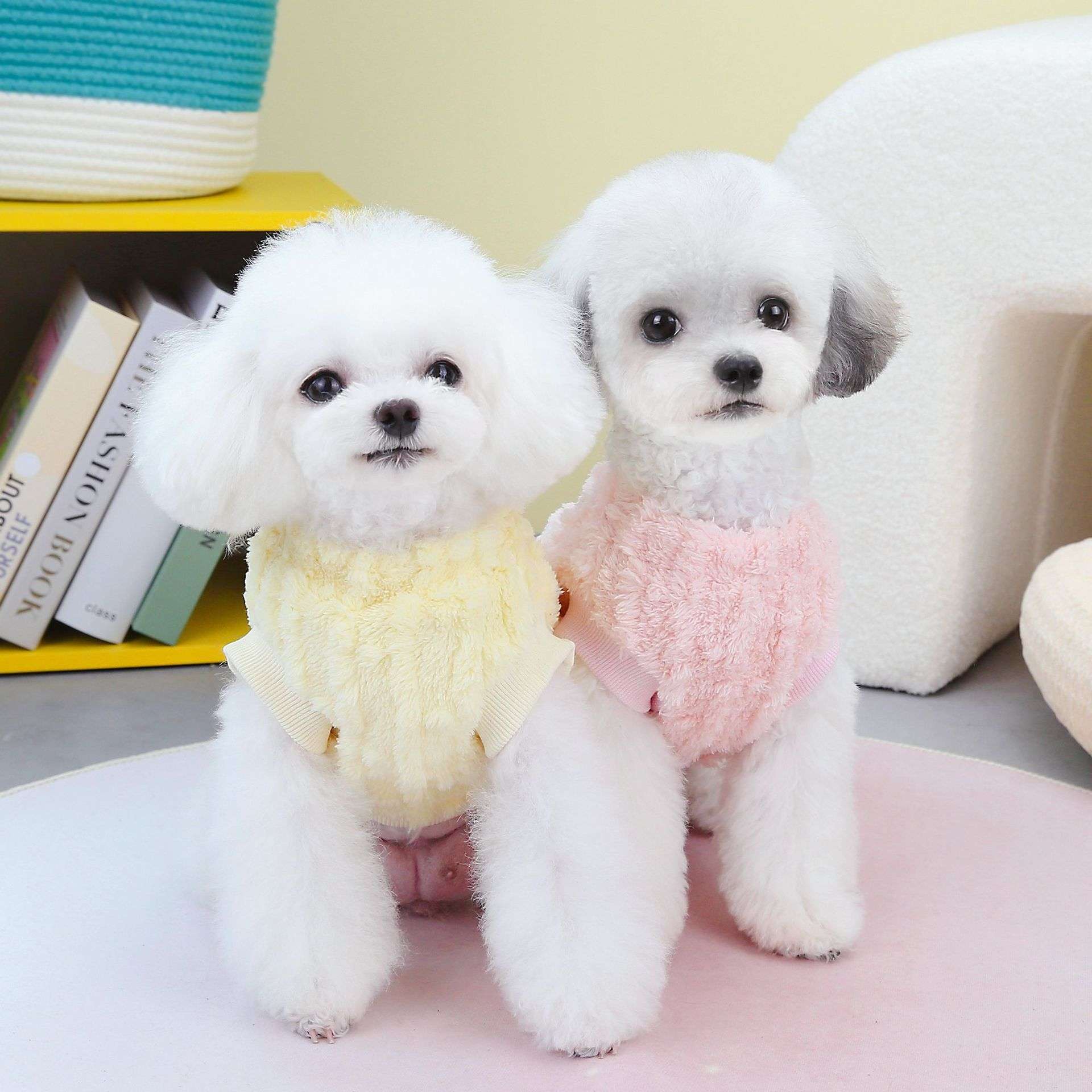 Maglia Coccolosa per Cani con Pettorina e Ricamo Maltese