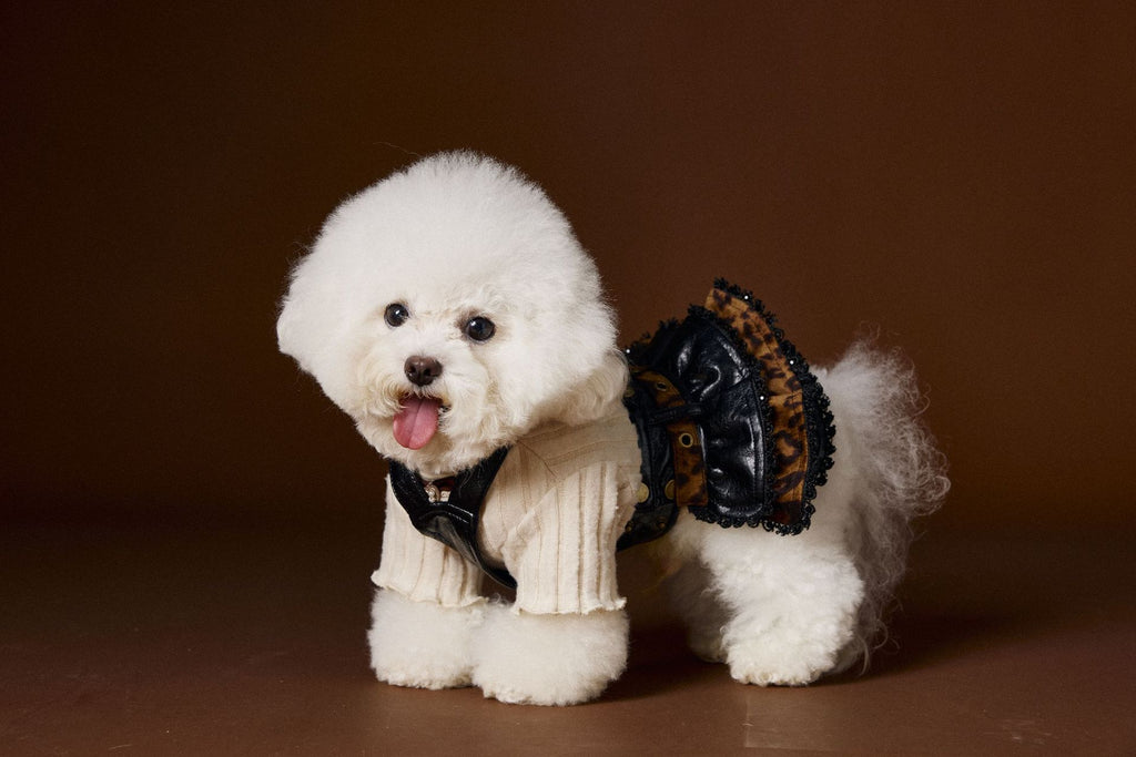 Vestito Elegante Buttons per Cani - Fiocco sul Colletto