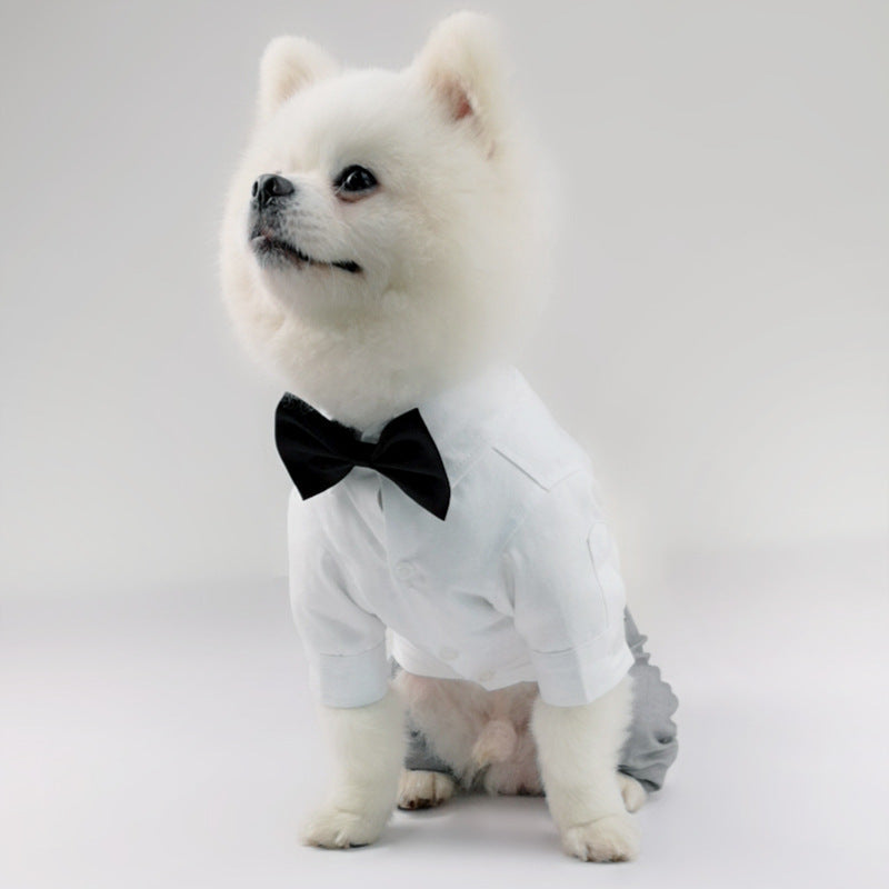 Vestito da cerimonia per cane grigio "Panama" - Dog Moda