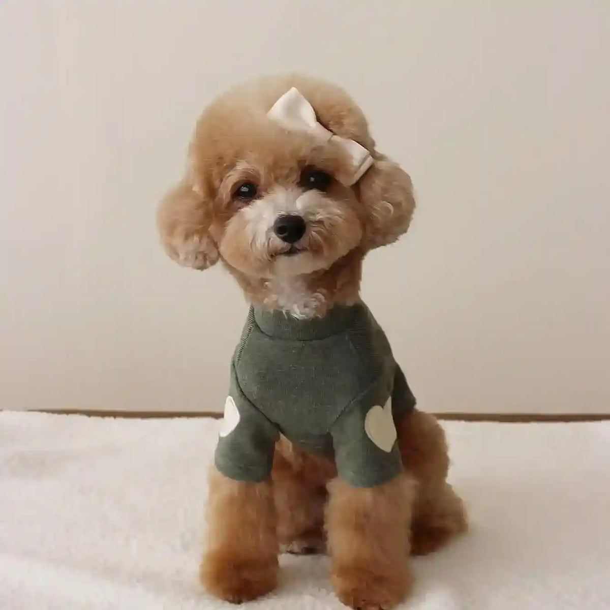 Vestito per Cani con Cuoricini Maniche | Abito Cane Invernale by Dog Moda